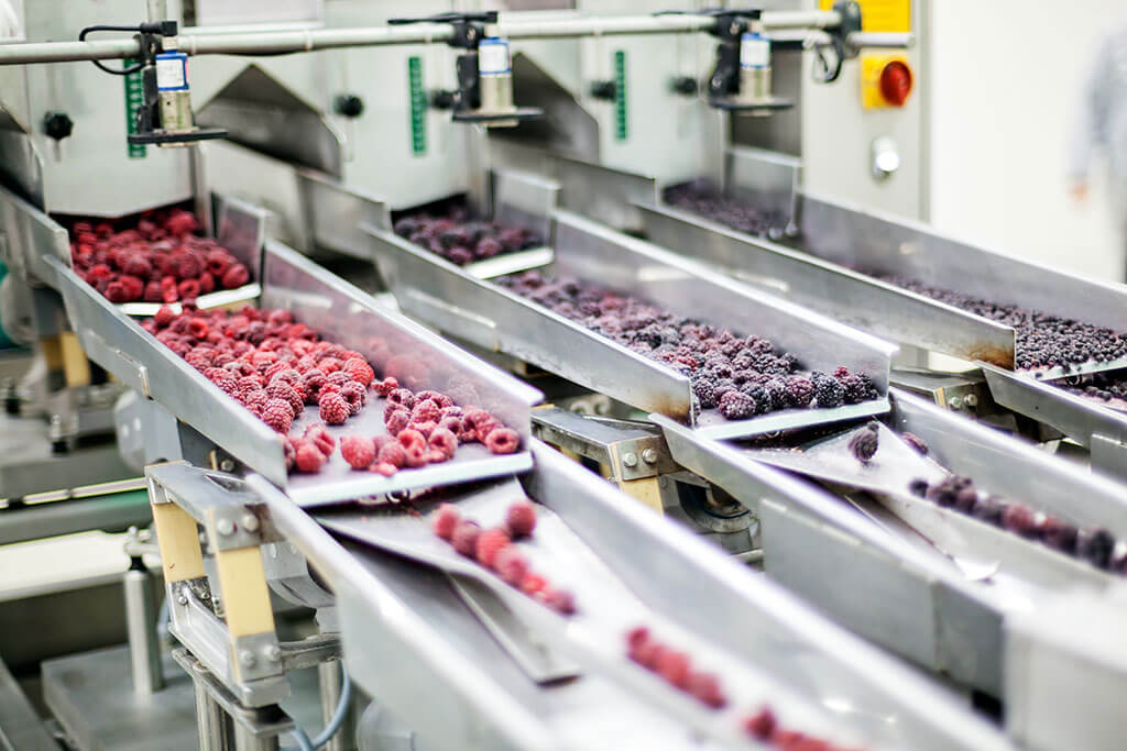 food-processing_295431182 Magnets for Food Processing